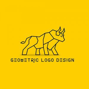עיצוב לוגו ייחודי